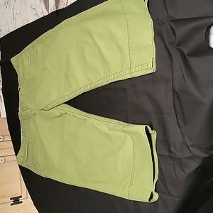 Anthropologie- Etta tua Capri Pants